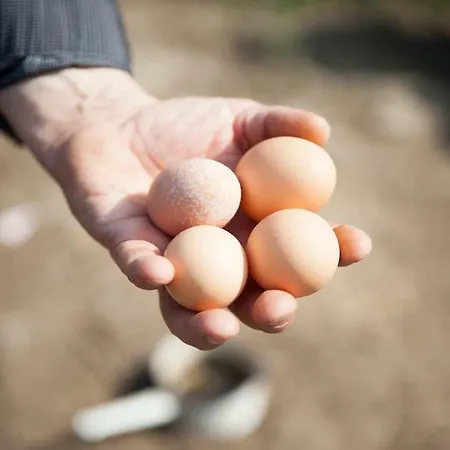 La Niche Guest house 3*