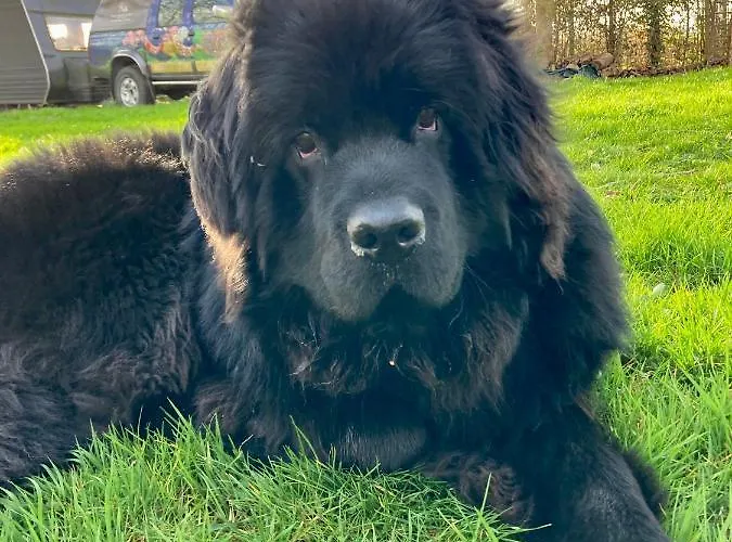 La Niche Gasthuis 3*