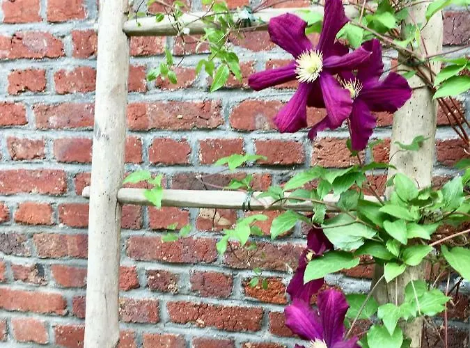 Gasthuis La Niche Richebourg (Pas-de-Calais)